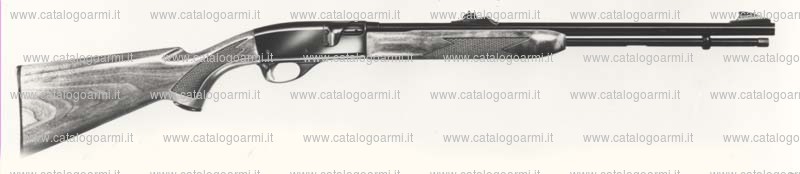 Carabina Remington modello 552 C (740)