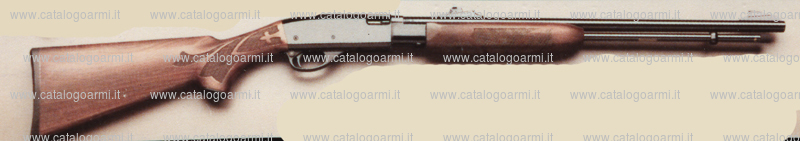 Carabina Remington modello 572 SA BDL (6217)