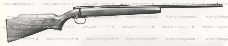 Carabina Remington modello 580 (410)