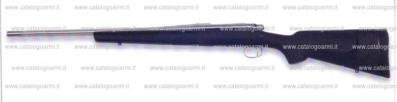 Carabina Remington modello 700 (14561)