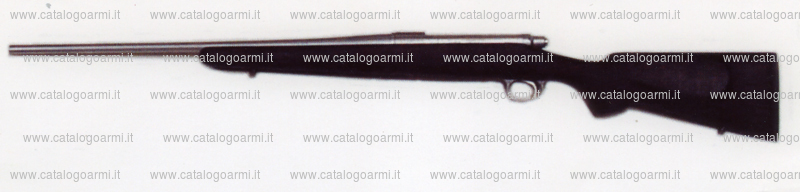 Carabina Remington modello 700 Titanium (14951)