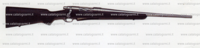 Carabina Remington modello 700 Titanium (14951)