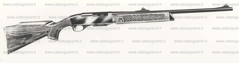 Carabina Remington modello 742 (615)