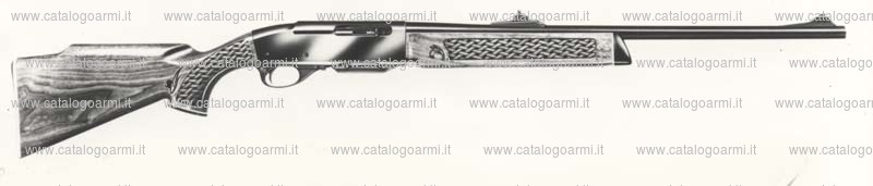 Carabina Remington modello 742 BDL (904)