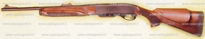 Carabina Remington modello 750 (16003)