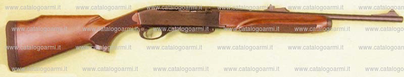 Carabina Remington modello 750 (16003)