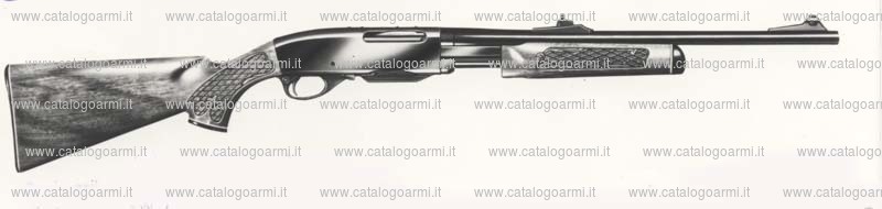 Carabina Remington modello 760 Carbine (493)