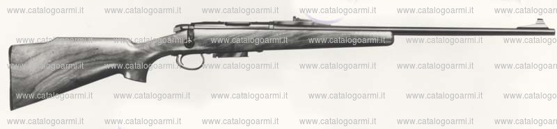 Carabina Remington modello 788 (922)