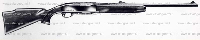 Carabina Remington modello Four (2812)