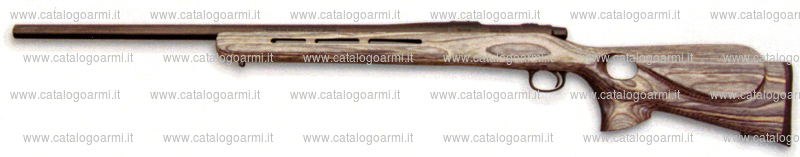 Carabina Remington modello XR-100 (15305)