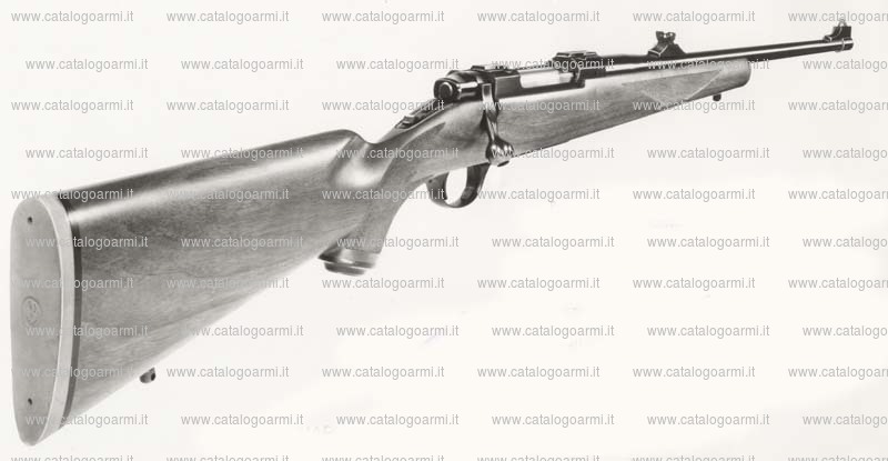 Carabina Ruger modello 77 RS (590)