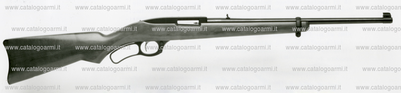 Carabina Ruger modello 96 (finitura brunita o satinata-tacca di mira regolabile) (9984)