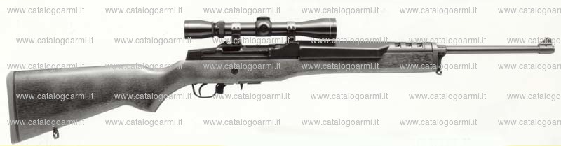 Carabina Ruger modello XGL (4350)