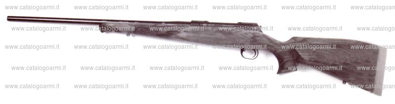 Carabina SAN SWISS ARMS AG modello SHR 970 (13641)