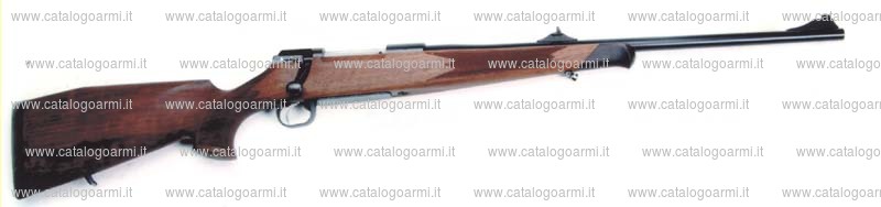 Carabina SAN SWISS ARMS AG modello SHR 970 (14768)