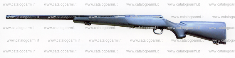 Carabina SAN SWISS ARMS AG modello SHR 970 (14959)