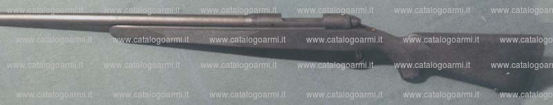 Carabina Savage modello 10 FP-LE1 (14652)