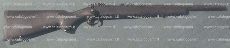 Carabina Savage modello 10 FP-LE1 (14652)