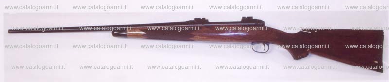 Carabina Savage modello 114 (13050)