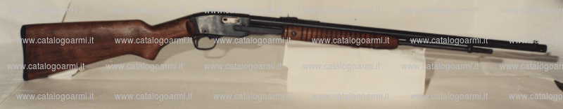 Carabina Savage modello 29 B (4717)