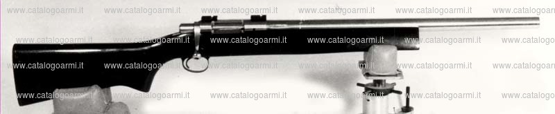 Carabina Sinclair Inc. modello Hall Varmint leggero (3577)