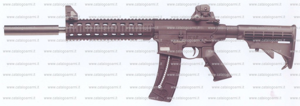 Carabina Smith & Wesson modello M & P 15-22 (18216)