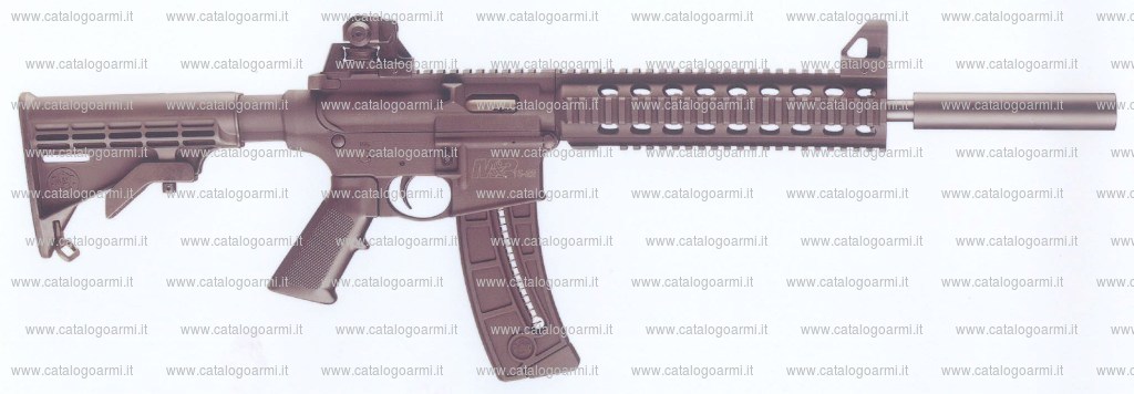 Carabina Smith & Wesson modello M & P 15-22 (18216)