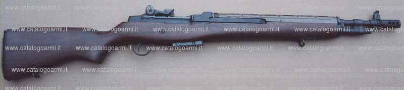 Carabina Springfield modello M 1 A Bush (14661)