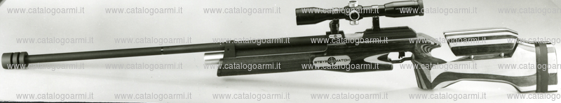 Carabina Steyr modello CO 2 match per bersaglio mobile (7103)