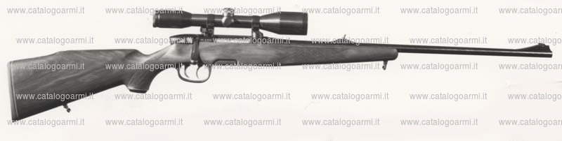 Carabina Steyr Mannlicher modello L half Stock (909)