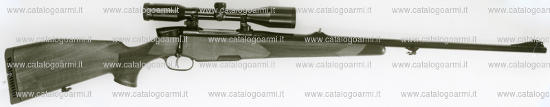 Carabina Steyr Mannlicher modello Luxus m (9712)