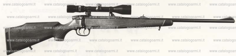 Carabina Steyr Mannlicher modello M (310)