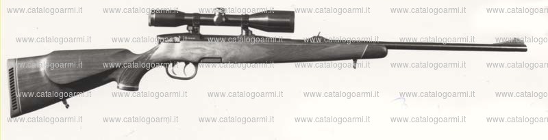 Carabina Steyr Mannlicher modello M half Stock (522)