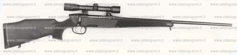 Carabina Steyr Mannlicher modello M professional (735)