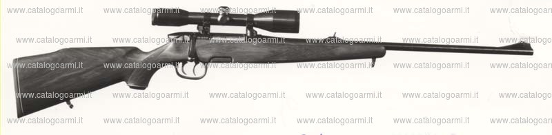 Carabina Steyr Mannlicher modello SL half Stock (532)