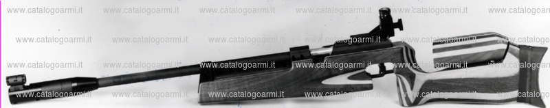 Carabina Steyr modello Match (5362)