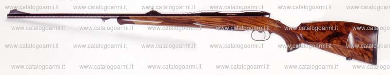 Carabina Steyr modello SBS 96 (12874)