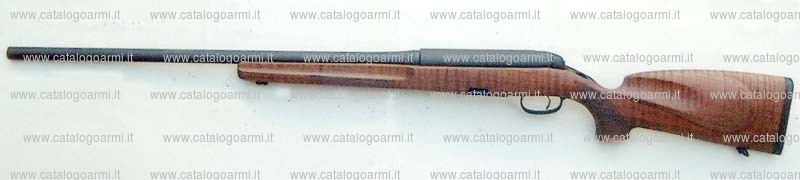 Carabina Steyr modello Tactical-sBS 96 (13523)