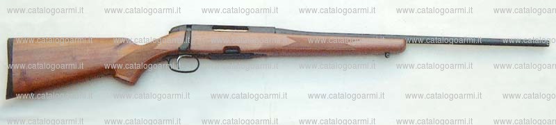 Carabina Steyr modello Tactical-sBS 96 (13523)