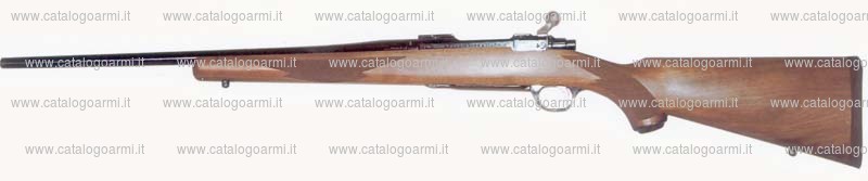 Carabina Sturm Ruger & Co. modello M 77 MKII (16076)