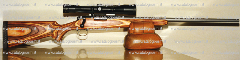 Carabina Tincani Daniele modello Hunting R 700 LA (8062)