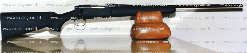 Carabina Tincani Daniele modello Hunting R 700 LA Magnum (8063)