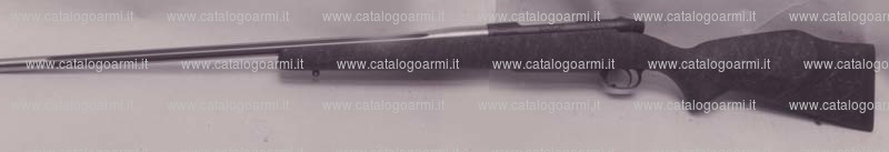 Carabina Weatherby modello Mark V (10003)