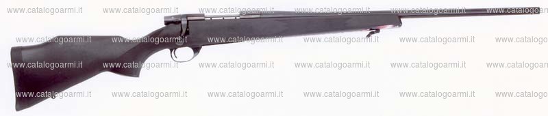 Carabina Weatherby modello Vanguard (16432)