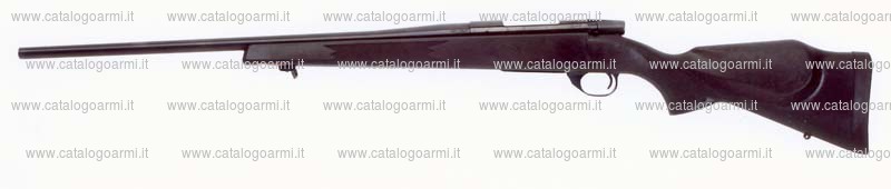 Carabina Weatherby modello Vanguard (16434)