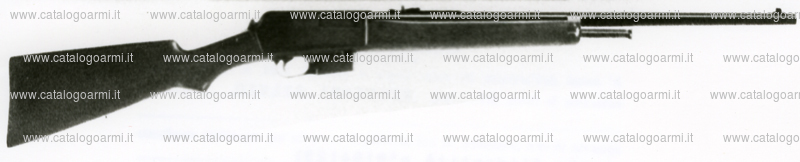 Carabina Winchester modello 05 (6129)