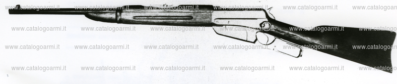 Carabina Winchester modello 1895 (6122)