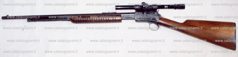 Carabina Winchester modello 62 A (15828)