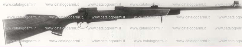 Carabina Winchester modello 70 (282)