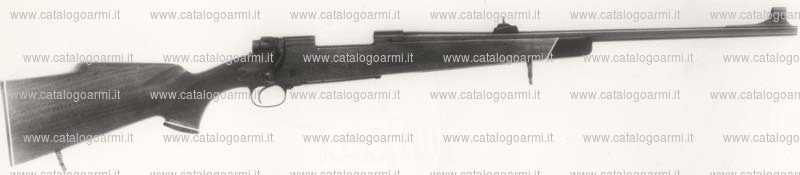 Carabina Winchester modello 70 (299)